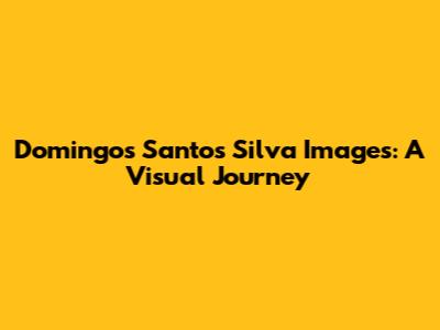 Domingos Santos Silva Images: A Visual Journey