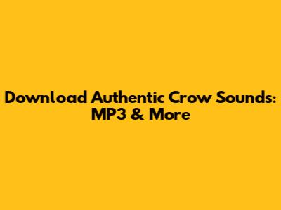 Download Authentic Crow Sounds: MP3 & More