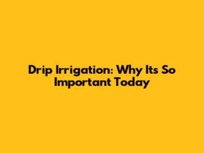 Drip Irrigation: Why It's So Important Today