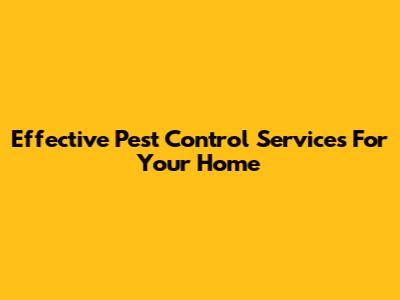 Effective Pest Control Services For Your Home