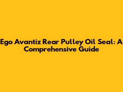 Ego Avantiz Rear Pulley Oil Seal: A Comprehensive Guide