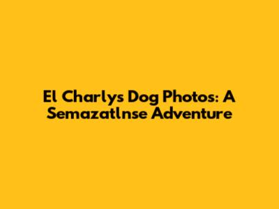 El Charly's Dog Photos: A Semazatlnse Adventure