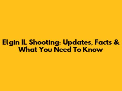 Elgin IL Shooting: Updates, Facts & What You Need To Know