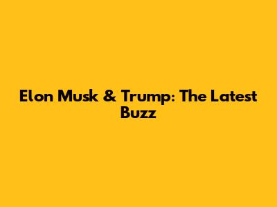 Elon Musk & Trump: The Latest Buzz