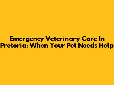 Emergency Veterinary Care In Pretoria: When Your Pet Needs Help