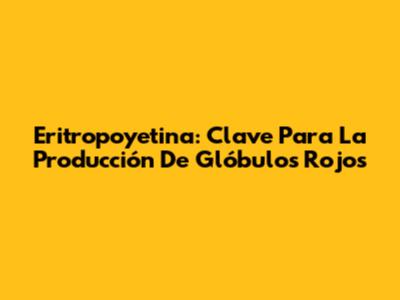 Eritropoyetina: Clave Para La Producción De Glóbulos Rojos