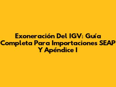 Exoneración Del IGV: Guía Completa Para Importaciones SEAP Y Apéndice I