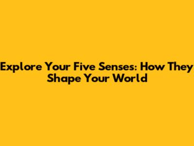 Explore Your Five Senses: How They Shape Your World