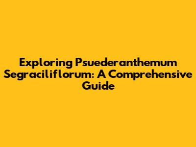 Exploring Psuederanthemum Segraciliflorum: A Comprehensive Guide