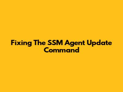 Fixing The SSM Agent Update Command