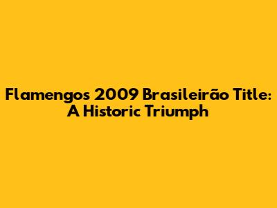 Flamengo's 2009 Brasileirão Title: A Historic Triumph