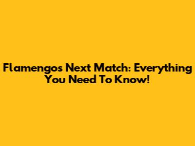 Flamengo's Next Match: Everything You Need To Know!
