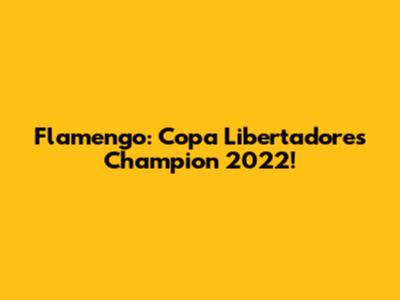 Flamengo: Copa Libertadores Champion 2022!