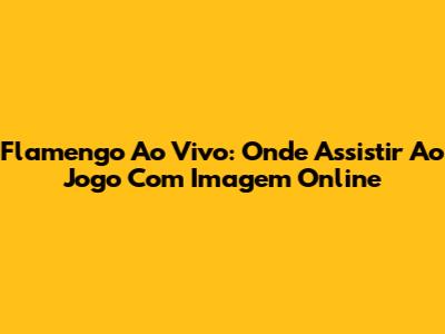 Flamengo Ao Vivo: Onde Assistir Ao Jogo Com Imagem Online