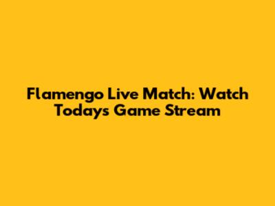 Flamengo Live Match: Watch Today's Game Stream