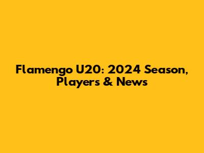 Flamengo U20: 2024 Season, Players & News