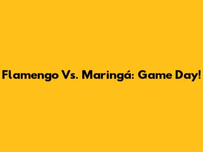 Flamengo Vs. Maringá: Game Day!