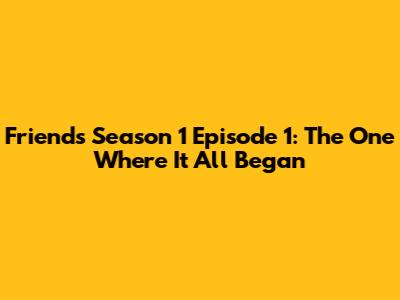 Friends Season 1 Episode 1: The One Where It All Began