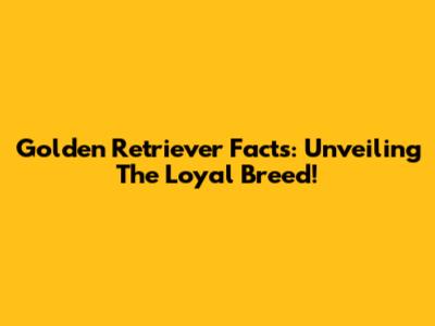 Golden Retriever Facts: Unveiling The Loyal Breed!
