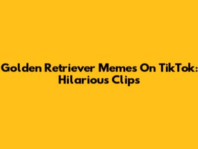 Golden Retriever Memes On TikTok: Hilarious Clips