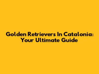 Golden Retrievers In Catalonia: Your Ultimate Guide