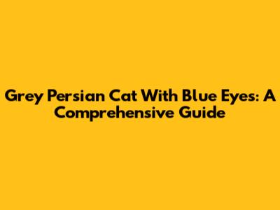 Grey Persian Cat With Blue Eyes: A Comprehensive Guide