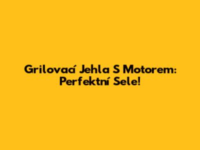 Grilovací Jehla S Motorem: Perfektní Sele!