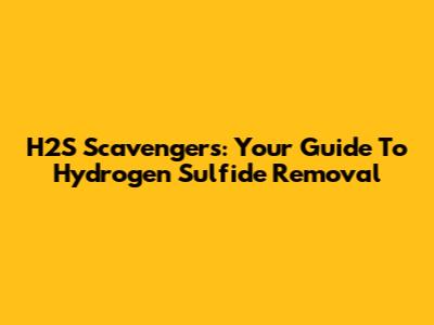 H2S Scavengers: Your Guide To Hydrogen Sulfide Removal