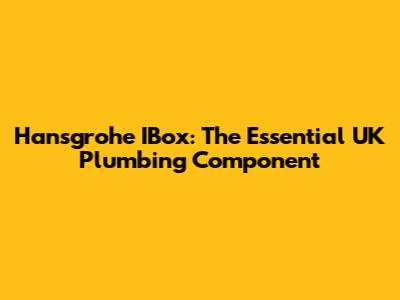 Hansgrohe IBox: The Essential UK Plumbing Component