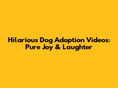 Hilarious Dog Adoption Videos: Pure Joy & Laughter