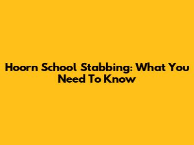 Hoorn School Stabbing: What You Need To Know