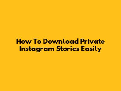 How To Download Private Instagram Stories Easily
