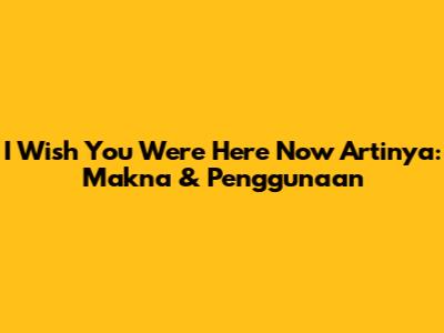 I Wish You Were Here Now Artinya: Makna & Penggunaan