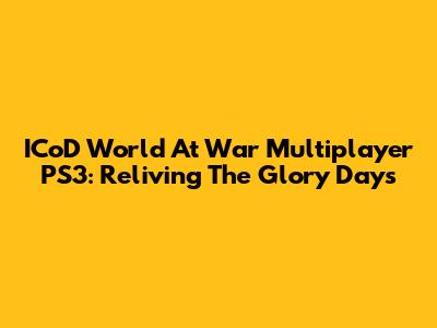 ICoD World At War Multiplayer PS3: Reliving The Glory Days