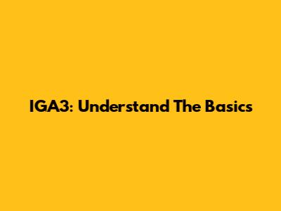 IGA3: Understand The Basics