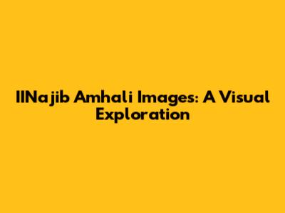 IINajib Amhali Images: A Visual Exploration