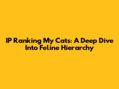 IP Ranking My Cats: A Deep Dive Into Feline Hierarchy