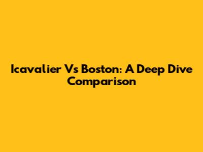 Icavalier Vs Boston: A Deep Dive Comparison