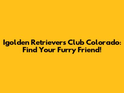 Igolden Retrievers Club Colorado: Find Your Furry Friend!