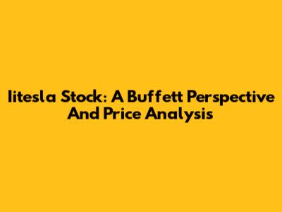 Iitesla Stock: A Buffett Perspective And Price Analysis