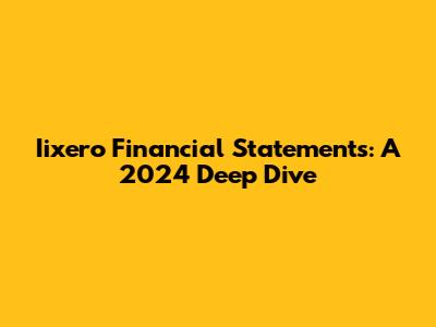 Iixero Financial Statements: A 2024 Deep Dive