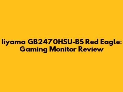 Iiyama GB2470HSU-B5 Red Eagle: Gaming Monitor Review