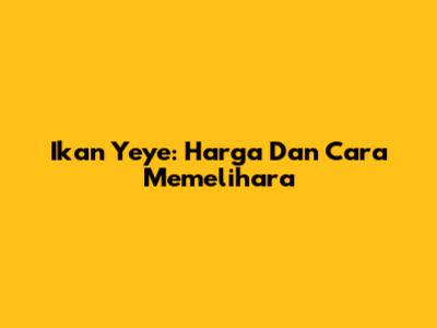 Ikan Yeye: Harga Dan Cara Memelihara
