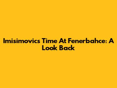Imisimovic's Time At Fenerbahce: A Look Back