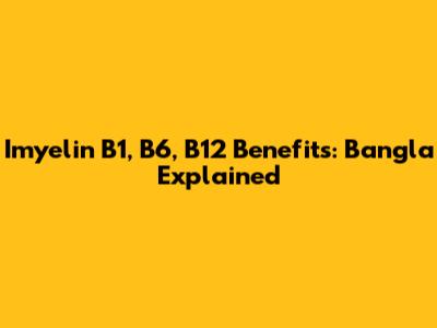 Imyelin B1, B6, B12 Benefits: Bangla Explained