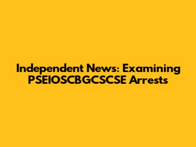 Independent News: Examining PSEIOSCBGCSCSE Arrests