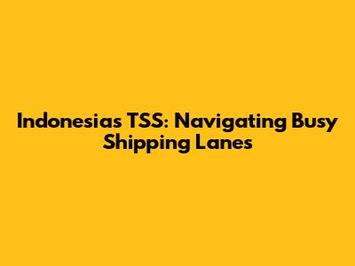 Indonesia's TSS: Navigating Busy Shipping Lanes