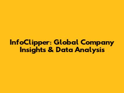 InfoClipper: Global Company Insights & Data Analysis