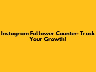 Instagram Follower Counter: Track Your Growth!