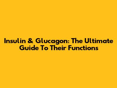 Insulin & Glucagon: The Ultimate Guide To Their Functions
